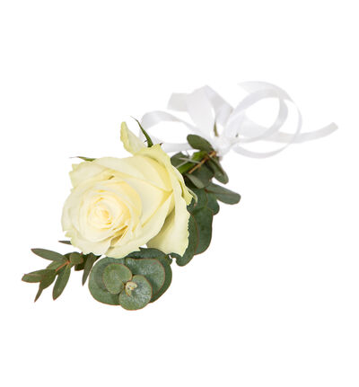 Kuvert blomst med hvit rose